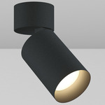 CY1 Cylinder Adjustable Wall Wash Ceiling Light - Black Powdercoat / Black Baffle