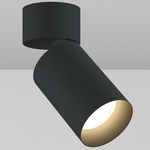 CY1 Cylinder Outdoor Adjustable Wall Wash Ceiling Light - Black Powdercoat / Black Baffle