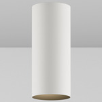 CY1 Cylinder Outdoor Wall Wash Ceiling Light - White Powdercoat / Black Baffle