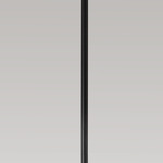 Ambrosia Pro Downrod - Matte Black
