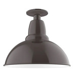 Cafe Outdoor Ceiling Light - Architectural Bronze