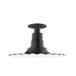Radial Ceiling Light Fixture - Black