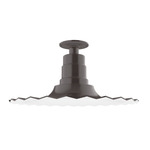 Radial Ceiling Light Fixture - Architectural Bronze