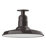 Warehouse Outdoor Ceiling Light Fixture - Architectural Bronze