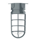 Vaportite Outdoor Ceiling Flush Light - Slate Gray / Clear