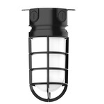 Vaportite Outdoor Ceiling Flush Light - Black / Clear