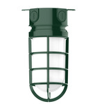 Vaportite Outdoor Ceiling Flush Light - Forest Green / Clear