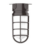 Vaportite Outdoor Ceiling Flush Light - Architectural Bronze / Clear