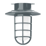 Vaportite Cap Outdoor Ceiling Light - Slate Gray / Clear