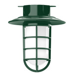 Vaportite Cap Outdoor Ceiling Light - Forest Green / Clear
