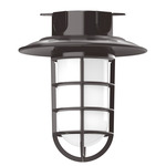 Vaportite Cap Outdoor Ceiling Light - Architectural Bronze / Clear