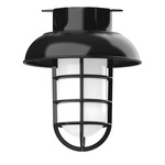 Vaportite Dome Cap Outdoor Ceiling Flush Light - Black / Clear