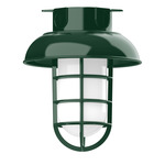 Vaportite Dome Cap Outdoor Ceiling Flush Light - Forest Green / Clear