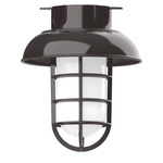 Vaportite Dome Cap Outdoor Ceiling Flush Light - Architectural Bronze / Clear