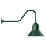 Prima Gooseneck Outdoor Wall Light - Forest Green / White