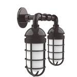Vaportite 2 Light Outdoor Wall Sconce - Architectural Bronze / Clear