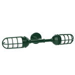 Vaportite 2 Light Straight Arm Outdoor Wall Sconce - Forest Green / Clear