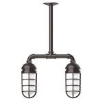 Vaportite Linear Outdoor Pendant - Architectural Bronze / Clear