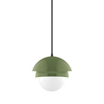 Nest Small Cord Hung Pendant with Glass Globe - Fern Green / Opal