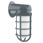 Vaportite Outdoor Wall Sconce - Slate Gray / Clear