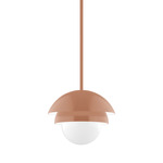 Nest Stem Pendant with Glass Globe - Terracotta / Opal
