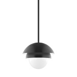 Nest Stem Pendant with Glass Globe - Black / Opal