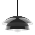 Nest Stem Pendant with Glass Globe - Black / Opal