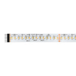 TruColor™ RGB & Tunable White 24VDC LED Strip - White