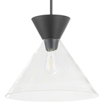 Beldar Pendant - Matte Black / Clear