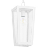 Bravo Outdoor Pendant - White / Clear Seedy