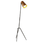 Draper Floor Lamp - Blackened Iron / Antique Brass
