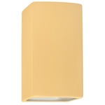 Ambiance 915 Up / Down Outdoor Wall Sconce - Muted Yellow