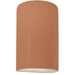 Ambiance Outdoor Downlight Wall Sconce - Adobe