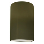 Ambiance Outdoor Downlight Wall Sconce - Matte Green