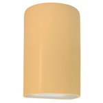 Ambiance Outdoor LED Downlight Wall Sconce - Muted Yellow