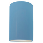 Ambiance Outdoor Downlight Wall Sconce - Sky Blue