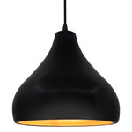 Radiance Droplet Pendant - Matte Black / Carbon / Champagne Gold