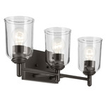 Shailene Bathroom Vanity Light - Olde Bronze / Clear