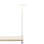 Yurei Clamp Co-Working Desk Lamp - Matte White
