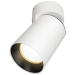 Big Shorty Adjustable Ceiling Downlight for Millwork - White