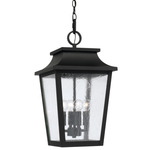 Chandler Outdoor Pendant - Black / Antique Glass