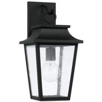 Chandler Outdoor Wall Light - Black / Antique Glass