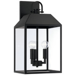 Nelson Outdoor Wall Light - Black / Clear