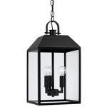 Nelson Outdoor Pendant - Black / Clear