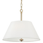 Parson Dual Pendant / Semi Flush Light - Matte Brass / Soft White