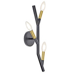 Morgan Wall Sconce - Matte Black / Aged Brass