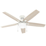 Anisten Energy Star Ceiling Fan - Fresh White / Fresh White / Light Oak