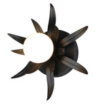 Paloma Wall/ Ceiling Light - Anthracite
