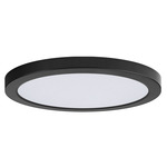 Chip Outdoor Round Flush Ceiling Light - Black / White