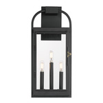 Bonham Outdoor Wall Light - Black / Clear